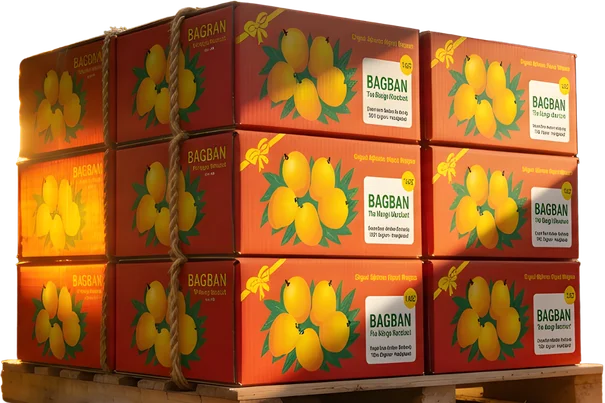 Premium Fresh Alphonso Mango